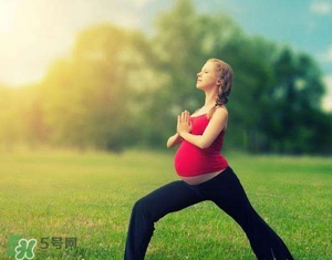 孕婦能吃雞精嗎？孕婦能吃雞精和味精嗎？