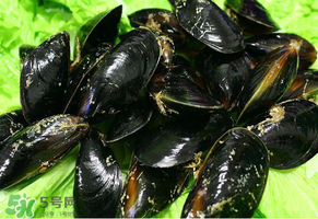 哪些人不適合吃淡菜？淡菜什么人不能吃？