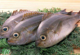 蠶豆和魚能一起吃嗎？蠶豆和魚吃相克嗎？
