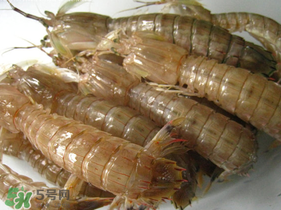 瀨尿蝦是皮皮蝦嗎？瀨尿蝦和皮皮蝦的區(qū)別