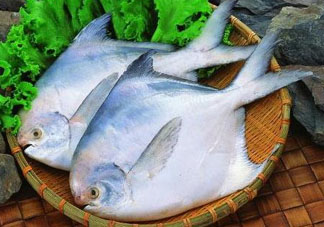 蠶豆和魚能一起吃嗎？蠶豆和魚吃相克嗎？