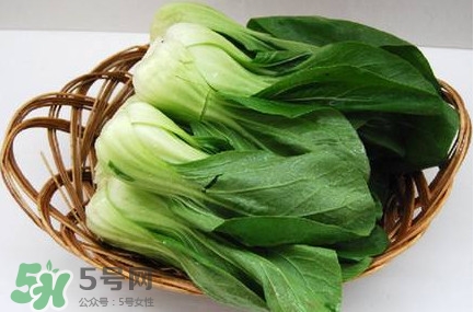 雞毛菜怎么種？雞毛菜的種植方法