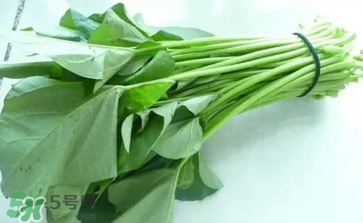 苕尖怎么炒？苕尖的做法