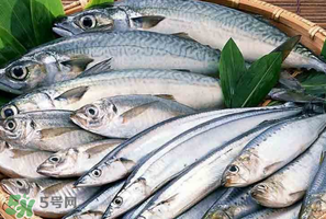2017鲅魚多少錢一斤？鲅魚多少錢一斤2017？