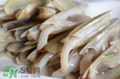 蟶子死了是什么樣子？死蟶子是什么樣子