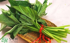苕尖怎么炒？苕尖的做法