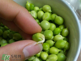 新鮮豌豆發(fā)芽了能吃嗎？豌豆發(fā)芽了還能吃嗎？