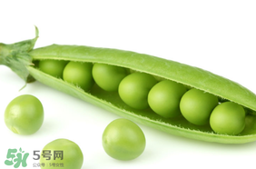 生豌豆有毒嗎？豌豆生吃有毒嗎？