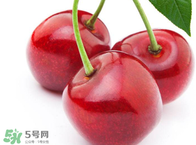 新鮮櫻桃如何保存？新鮮櫻桃能放多久？