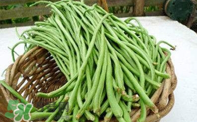 缸豆是豆角嗎？缸豆和豆角有什么區別
