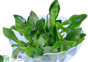 救心菜有毒嗎？救心菜怎么吃沒(méi)毒？