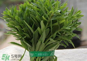救心菜有毒嗎？救心菜怎么吃沒(méi)毒？