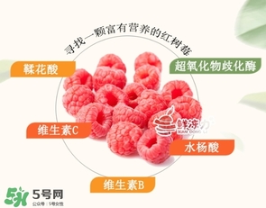 樹莓可以生吃嗎？樹莓怎么吃？