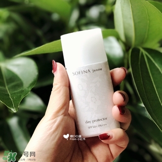 蘇菲娜白蕾絲多少錢？蘇菲娜白蕾絲日本價格