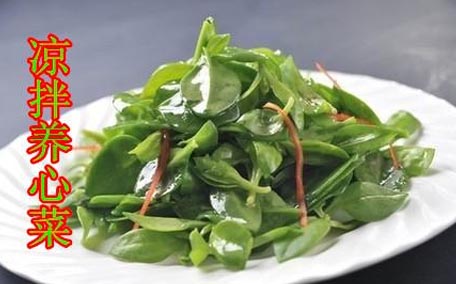 養心菜能生吃嗎？養心菜怎么吃？