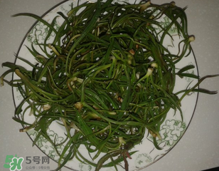 陽溝菜孕婦可以吃嗎？孕婦能吃陽溝菜嗎？