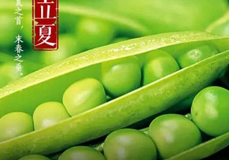 立夏吃什么好？立夏吃什么蔬菜？