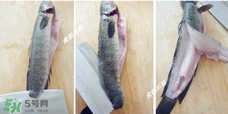 黑魚怎么切片？黑魚如何切魚片