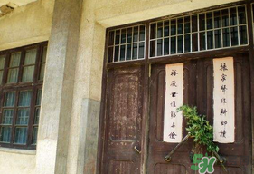 端午節(jié)插門(mén)上的是什么？端午節(jié)為什么要插艾草？