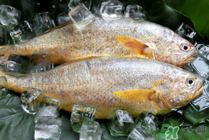 端午節為什么要吃黃魚？端午節吃黃魚的由來