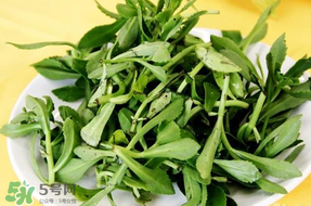 養(yǎng)心菜能生吃嗎？養(yǎng)心菜怎么吃？