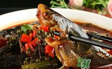 黃辣丁一斤多少錢(qián)？黃辣丁價(jià)格