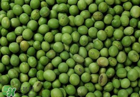 青豆可以打豆?jié){嗎？青豆能做豆?jié){嗎？