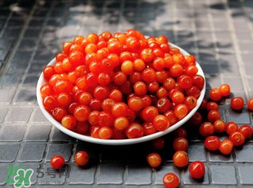 立夏嘗三新指的是什么？立夏嘗新活動