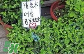 寶寶驅蚊產品哪個好？寶寶驅蚊用什么好？