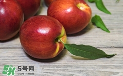 油桃什么時候成熟？油桃什么季節成熟