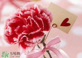 母親節(jié)要送婆婆禮物嗎？母親節(jié)要給婆婆買禮物嗎？