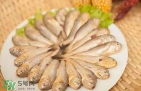 黃唇魚是黃花魚嗎？黃唇魚是黃魚嗎？