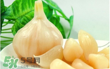 蒜頭泡醋有什么功效？蒜頭泡醋的功效和做法