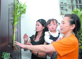 端午節為什么要掛菖蒲？端午節掛菖蒲的好處