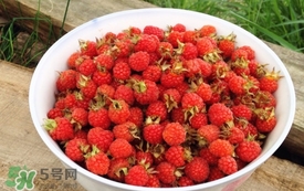 山莓是覆盆子嗎？山莓和覆盆子的區(qū)別