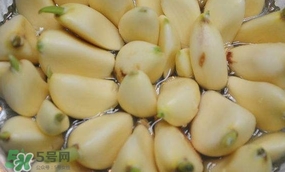蒜頭發芽了還能吃嗎？蒜頭發芽了芽心能吃嗎