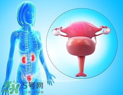 人造子宮能生孩子嗎？人造子宮初現曙光