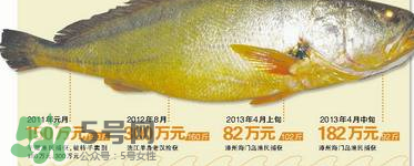 孕婦能吃金錢鱉嗎？懷孕期間能不能吃金錢鱉？