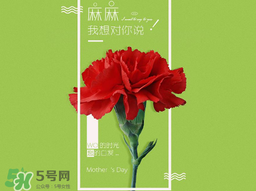 2017年母親節(jié)會打折嗎？2017年母親節(jié)有什么優(yōu)惠活動？