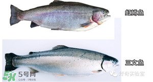 三文魚(yú)有刺嗎？三文魚(yú)的刺怎么處理