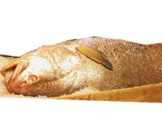 黃唇魚是不是黃花魚？黃唇魚和黃花魚的區別