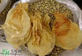 金錢鳘值多少錢？金錢鳘魚膠功效