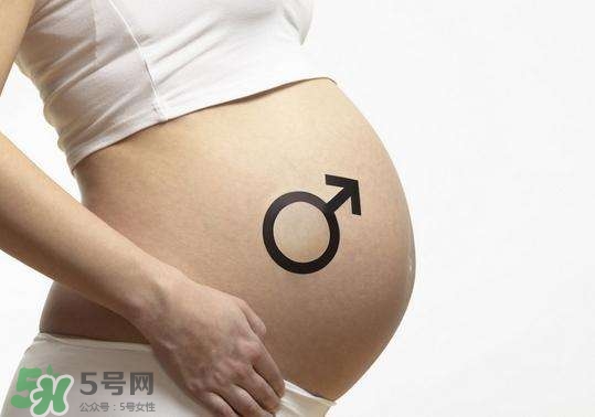 怎么問醫生胎兒性別？醫生會告訴胎兒性別嗎？