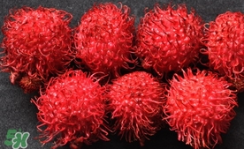 紅毛丹什么時(shí)候上市？紅毛丹什么季節(jié)有？