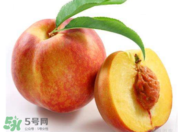 桃子可以放冰箱嗎？桃子能放冰箱保鮮嗎？