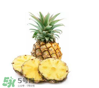孕婦能吃菠蘿嗎？菠蘿孕婦能不能吃？