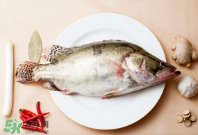 ?五月份吃什么魚？5月份吃什么魚？