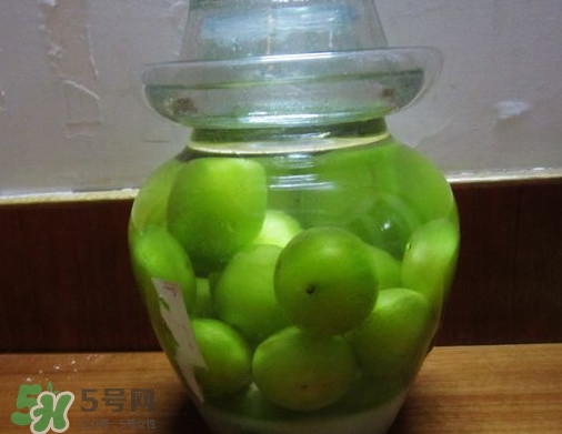 三華李可以泡酒嗎？三華李可以多吃嗎？