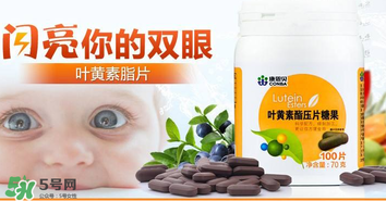 葉黃素真的有作用嗎？葉黃素的臨床試驗證明有用！