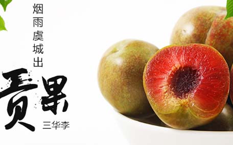 紅心李幾月份成熟？紅心李幾月份上市？